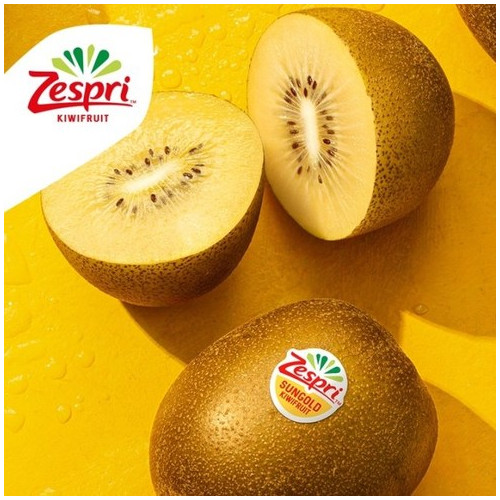 제스프리 썬골드키위 26과 총 2.5kg