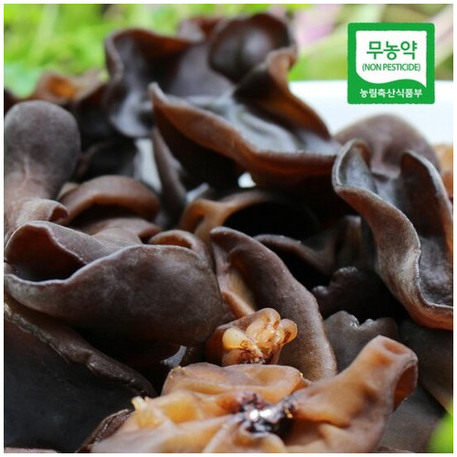 [생산자직송] 양승규님의 무농약 생 목이버섯 1kg