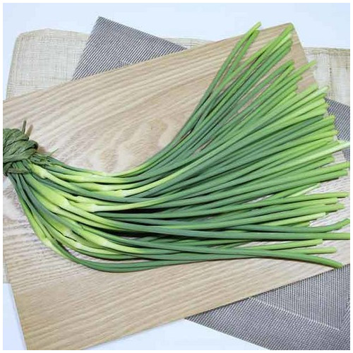 [이베따] 보물섬 남해 마늘종 2kg(특)